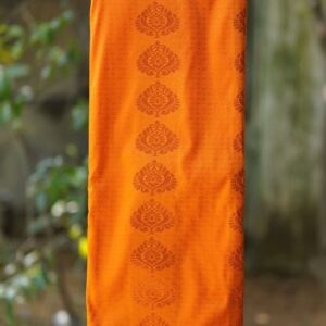 Kancheepuram Roots Lite - Style