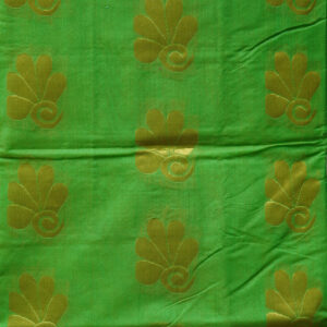 Kancheepuram Roots Lite - Cotton